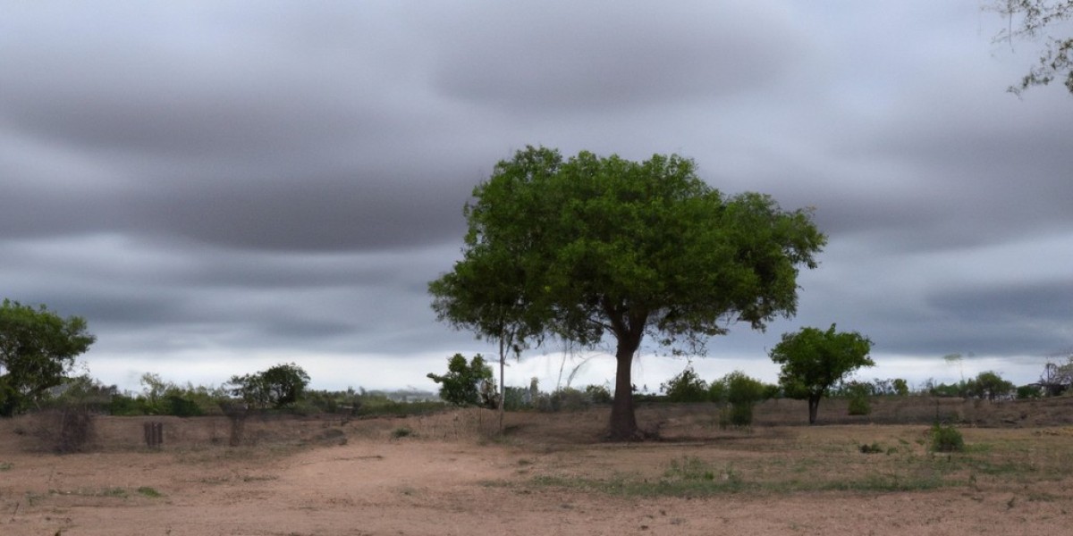 Un Aperçu de l'Afrique: Exploration des Nombreux États et leur Diversité
